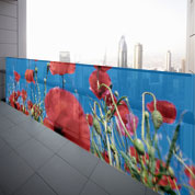 Poster Coquelicot